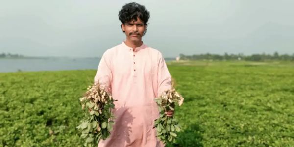 বাদাম চাষে ভাগ্য সুপ্রসন্নের স্বপ্ন বুনছেন নবীনগরের কৃষকরা
